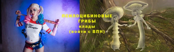 эйфоретик Алексин
