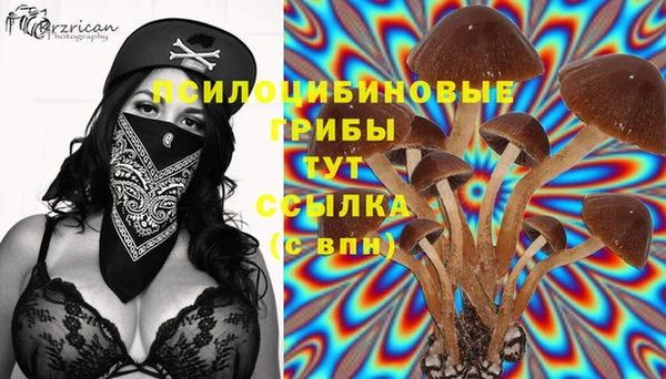 скорость Абаза