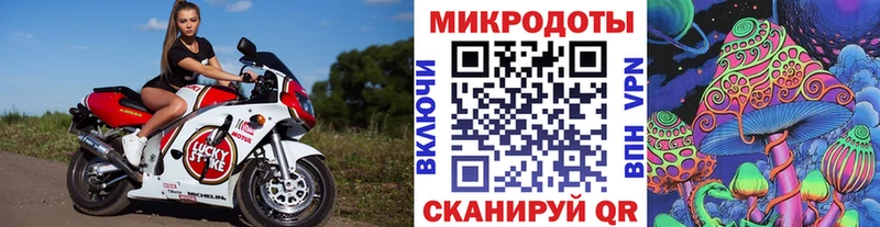 мориарти Telegram  KRAKEN ссылки  Галлюциногенные грибы Psilocybe  Никольск  закладки 